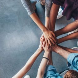 simple quicken for non profit organizations simple quicken for non profit organizations
