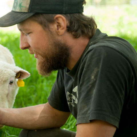 man with sheep looking at screen of cell phone