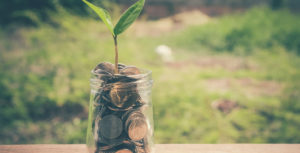 money jar outside with a plant growing in it