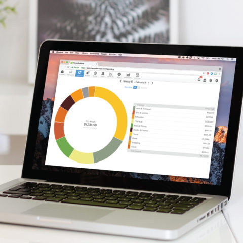 Money Budgeting chart on laptop with a person writing numbers down