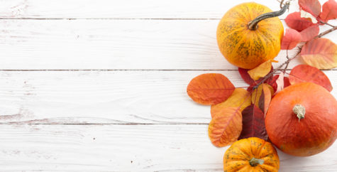 white boards with small pumpkins and leaves on right side