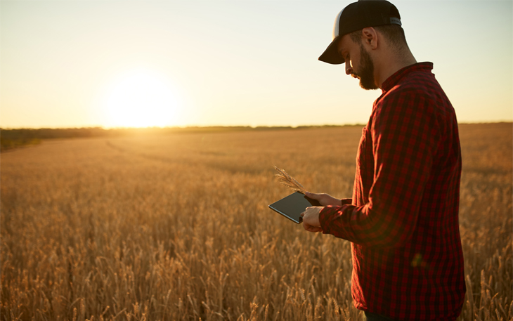 Man stands in a wheat field at sunset, recording results on a tablet.