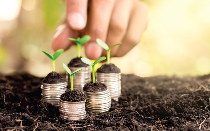 Money growing out of the ground with a sprout on top