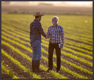 Farm and Crop Insurance