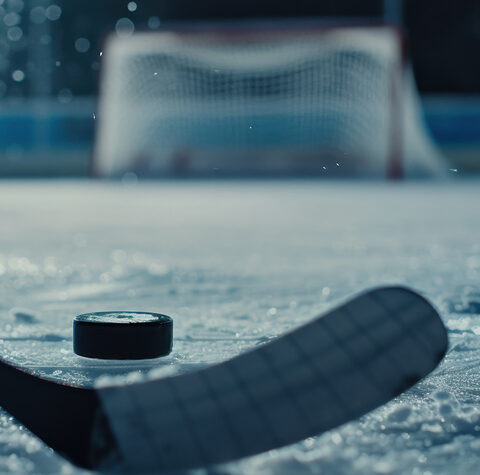 Hockey Night