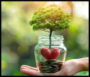 Grow your impact
