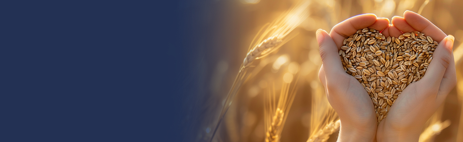 Centra Sota Partnership with SouthPoint