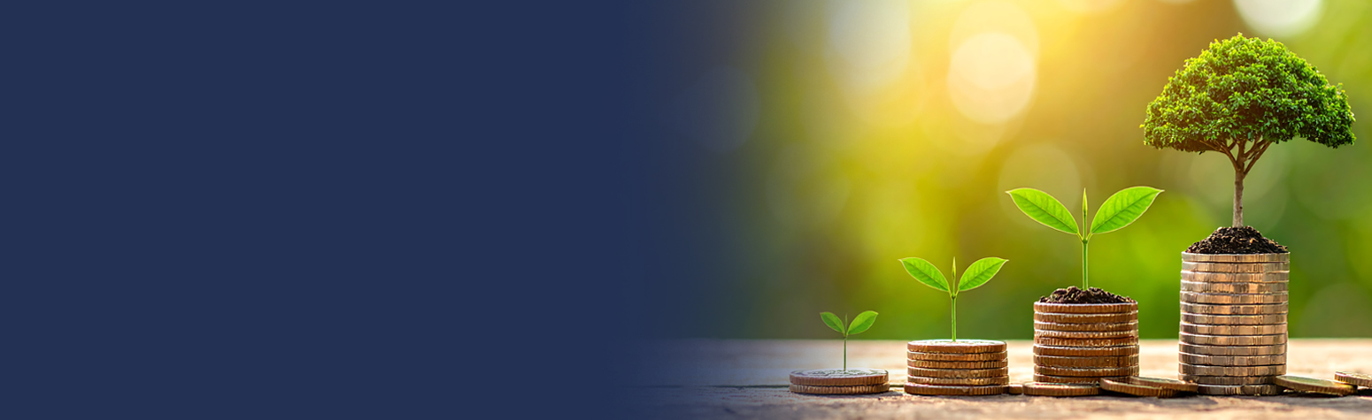 Arbor Day Tree Growing